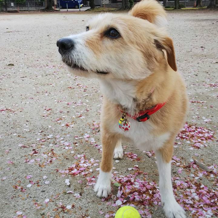 7998901a 15ee 4987 bcb2 00ddcb779989 1523056319788