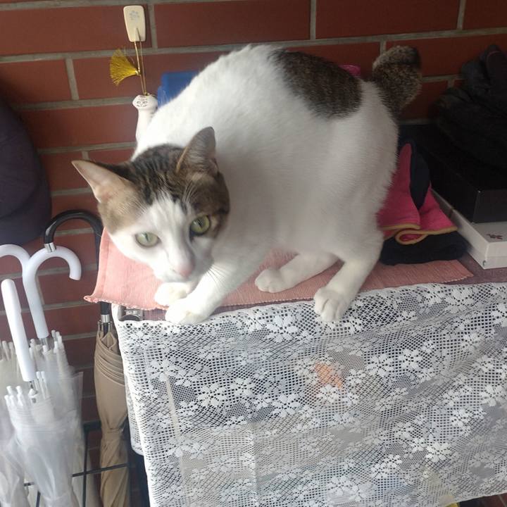 7998c9b4 cf1c 42d6 92e9 3a5e7744765e 1742605099228