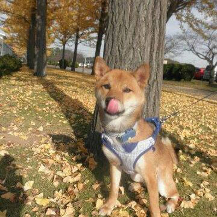 7998e8f0 cf2d 4e53 b1f0 b6d1810013fb 1513650373550