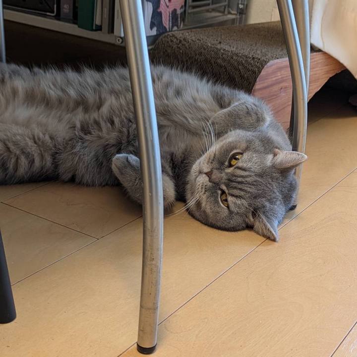 79992ba0 a7e6 4650 b438 fd5e8d2d9607 1764025085805