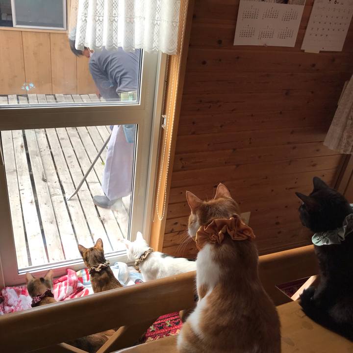 7999529d e80c 49e2 9657 205c2c043901 1624580472809