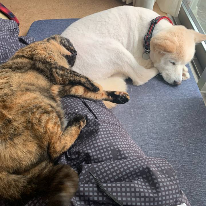 7999701a 1130 4e8a 9c24 c00563afce44 1744606565562