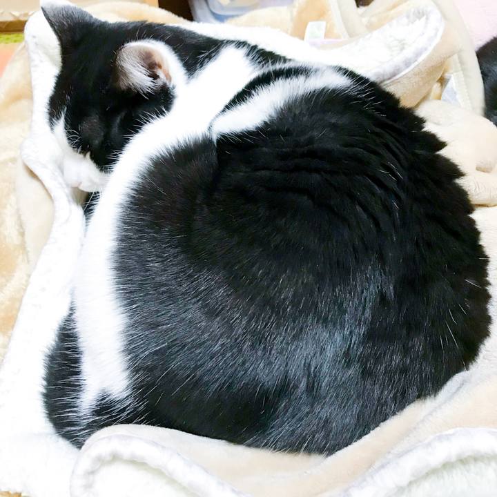 79998a8b ed75 4f8e 8157 8f54a9abc154 1514677299476