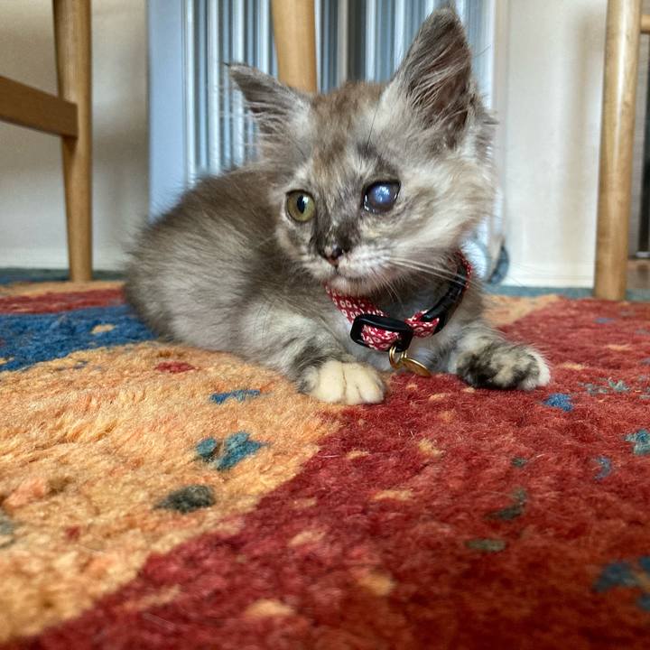 7999a8b8 8fc3 4ece b63b 11acf4f37316 1690846882215