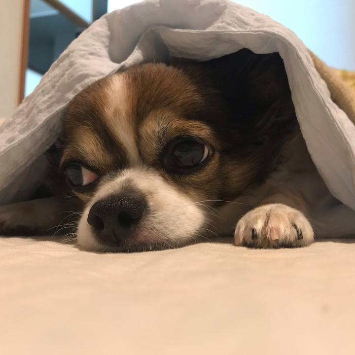 7999ade8 3d82 477e 991d 7a0bc88b7016 1602342762251