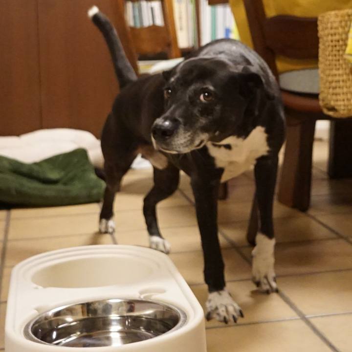 7999b92f 063d 4dc8 8230 d29d2dc99a52 1761389924819