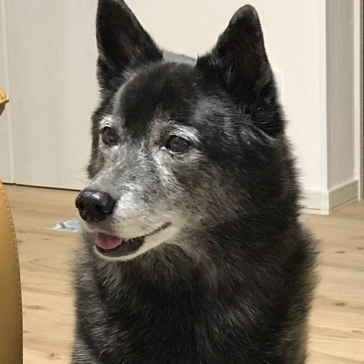 7999e093 3517 4b02 8630 9d5c8db339a5 1606134012555