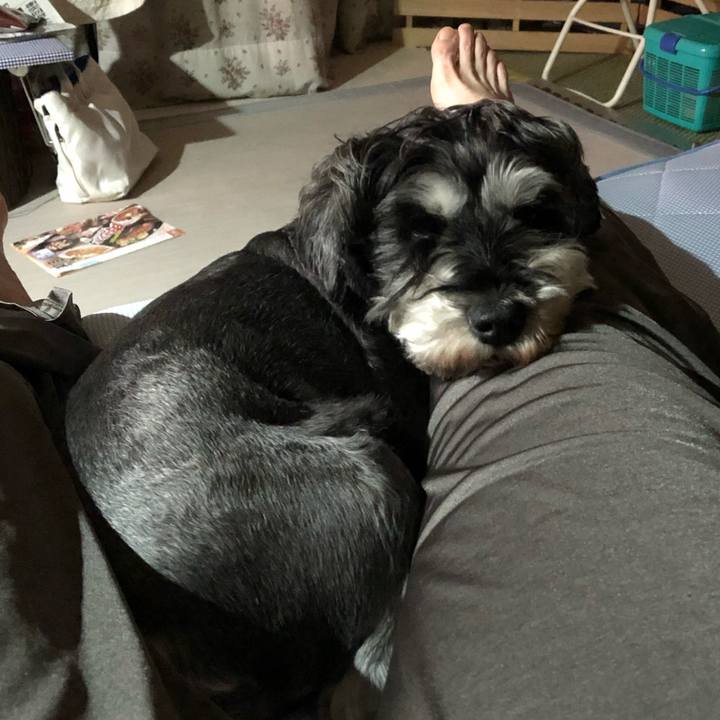 7999e127 2f39 437d 8a74 a328f4b9dd5b 1632581086391