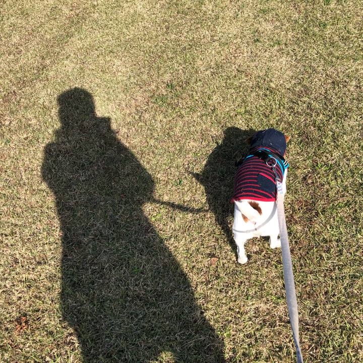 799a0f79 fa78 4e36 bffe 8b206bd136fe 1637839114028