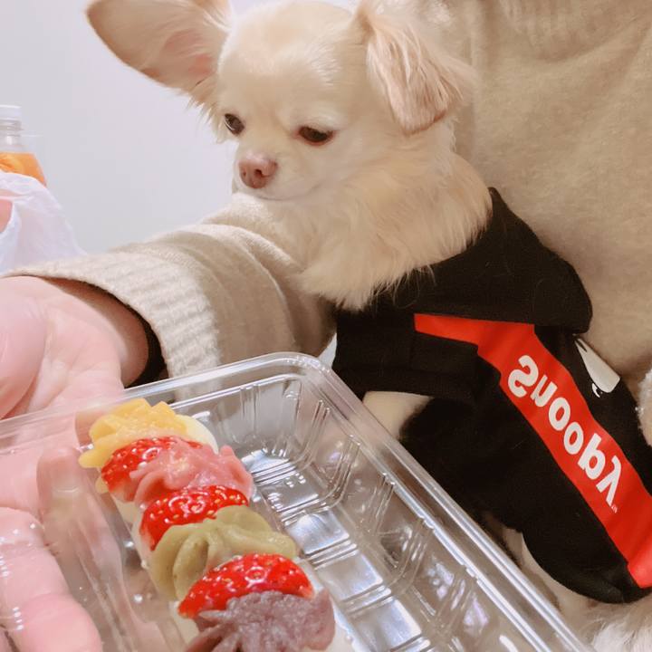 799a201e e95b 4bde 9b8f f1f64d232383 1672280738936