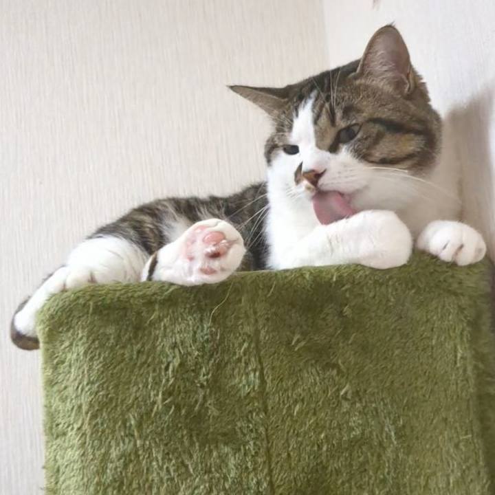 799a436f 1263 48e0 8ebc 815c88c79122 1692073715397