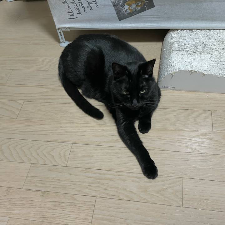 799a600c 60fa 4a79 be91 848ff0f61bda 1771591874676