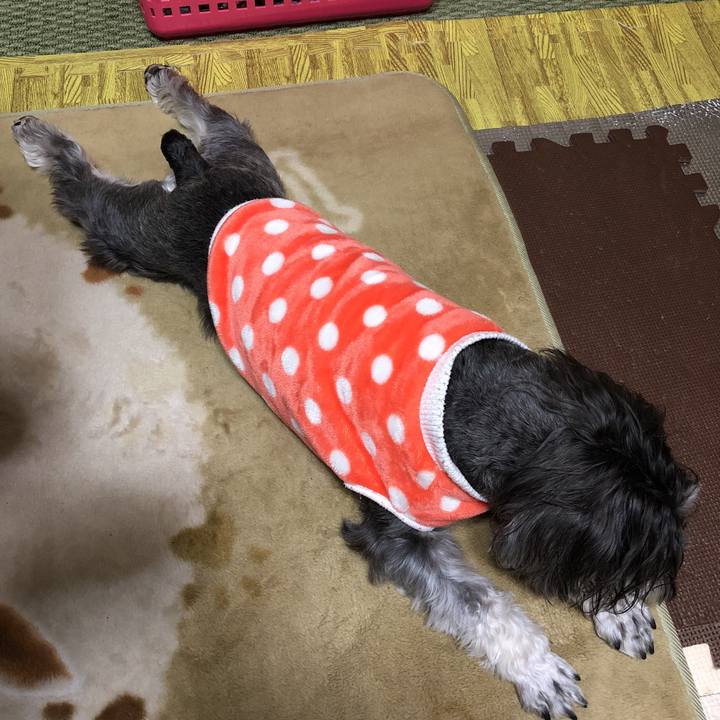 799a763f dbbf 4326 bf7c ae5b573db9cb 1519123295143