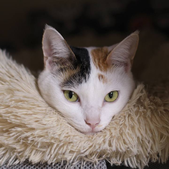 799aabb1 f509 47fb b430 0960272ce972 1611743324186