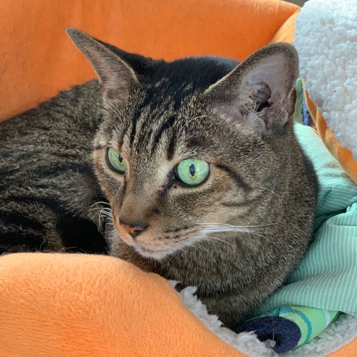 799addb0 ac34 4dd0 8add dffc88f4f8d0 1570496942680