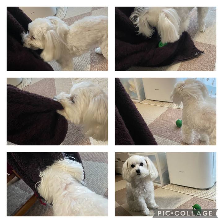 799ae1a7 67f6 4509 ad5d a6c1e0ea8d17 1641107992396