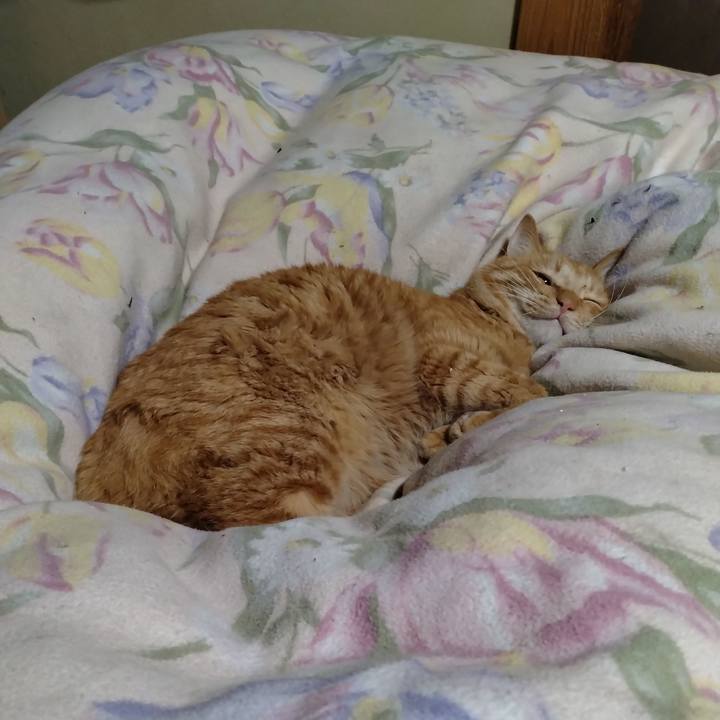 799af103 fd00 4a0a a03f bbf94191b694 1671106775487