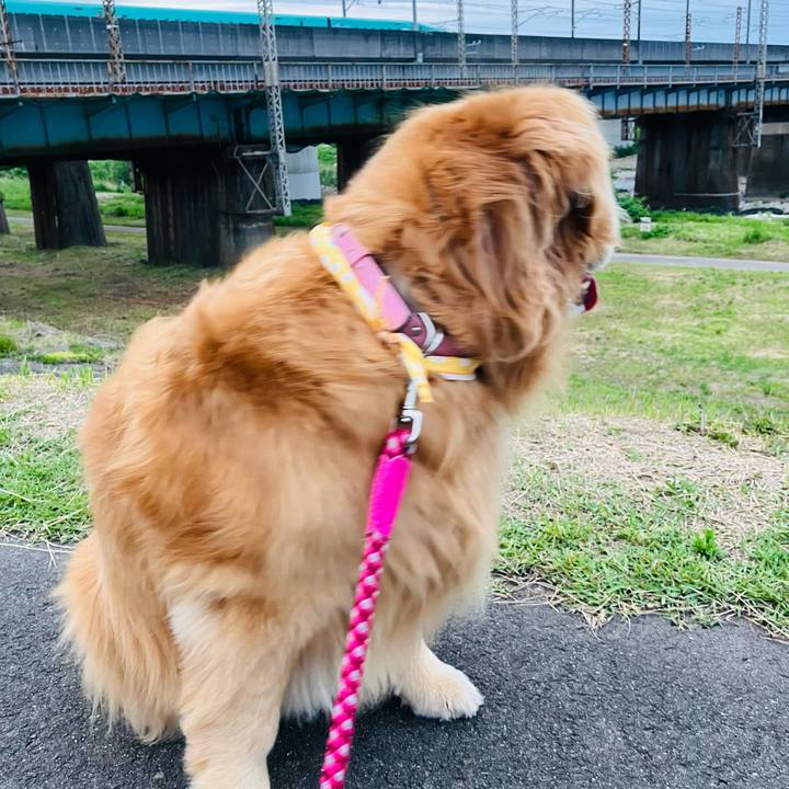 799af7ea a44d 4e97 aae6 ae2336bb26c5 1716168628304