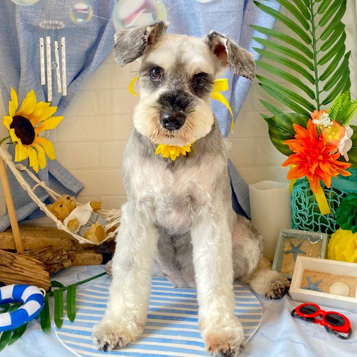 799b0d6a 326c 48c4 a8d7 37e57aef985b 1687585620007