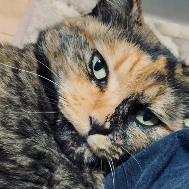 799b1066 e775 495b b235 ad45c980205b 1757707761000