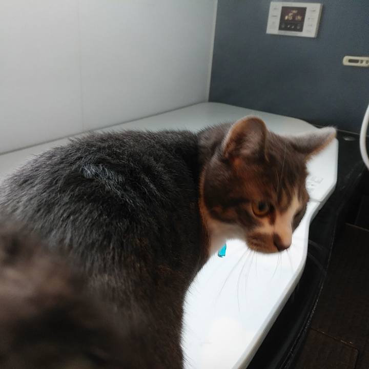 799b445d 4355 4737 a1ad 8581e19e60a2 1577321459891