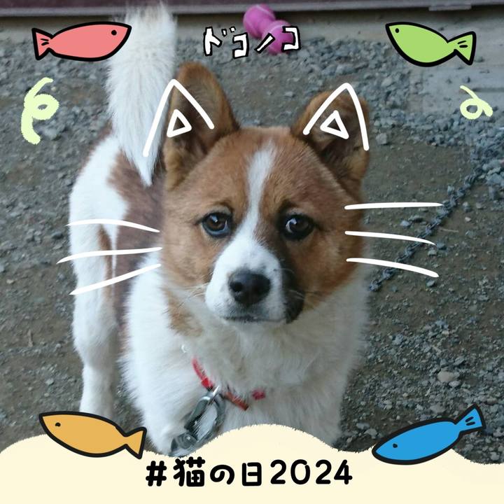 799b70ff 0d40 4da0 aefd 5517ea7b2bc4 1708600695846