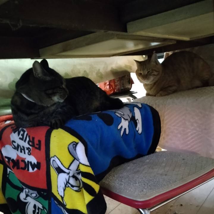 799ba06f 19fe 45bd 8192 0d39a0d78a39 1666780151969