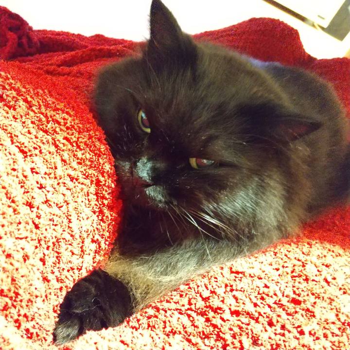 799ba5bd 8a54 4ae5 890f 6aec47407b24 1633073113359