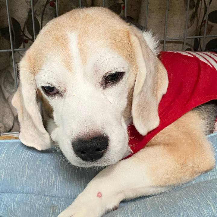 799ba82d 1d31 487e 928a a636c0eea431 1663906750870