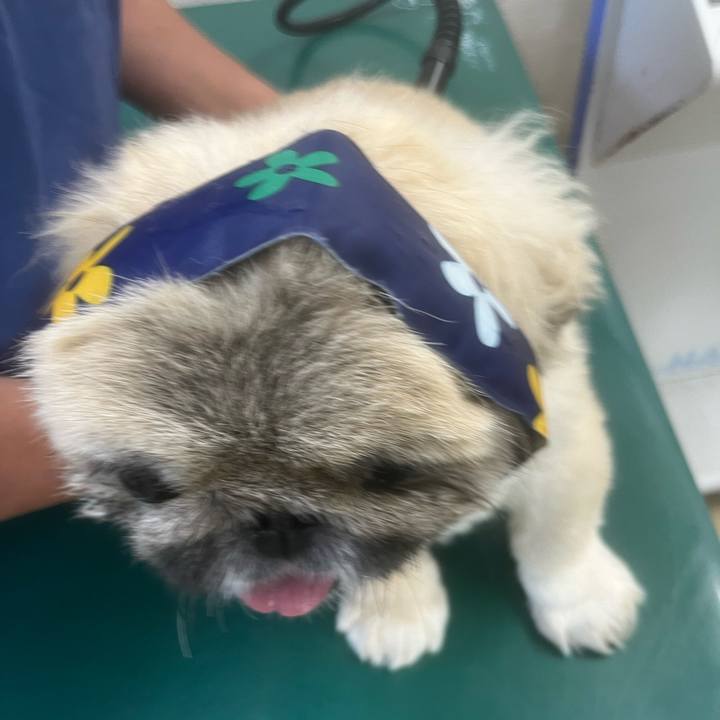 799bda61 8391 41ae a3f5 06f820540f45 1722246880953