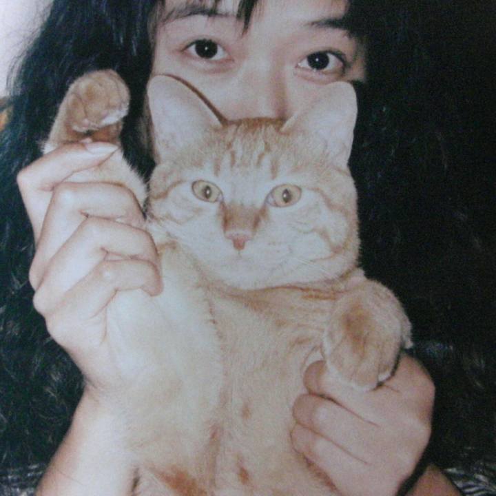 799bdf0e 7648 4c14 b6e8 8709ce3fa5b4 1511785766686