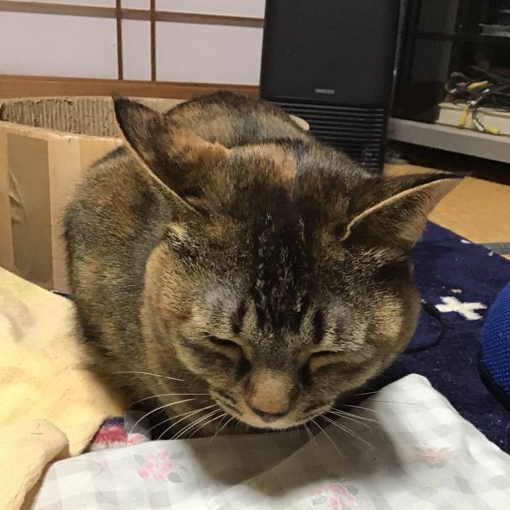 799c8bc6 04d4 4b35 bcc5 5d38e7e9e5f6 1738830070579