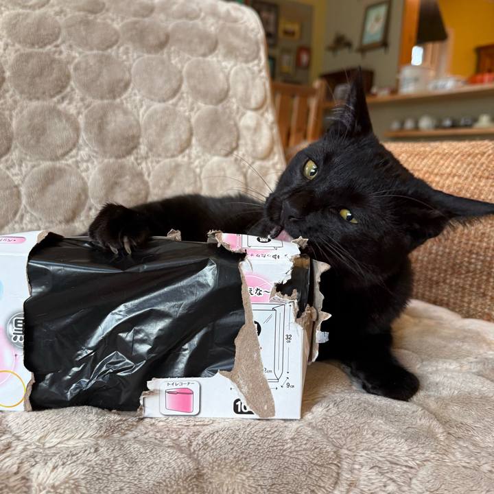 799c93da f934 4c4d 9c68 9138f629bf51 1764715912617