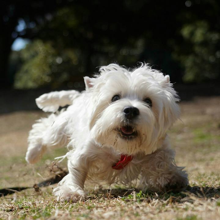 799c9eb2 e1ee 492f 81e9 be9207fe1006 1520426463441