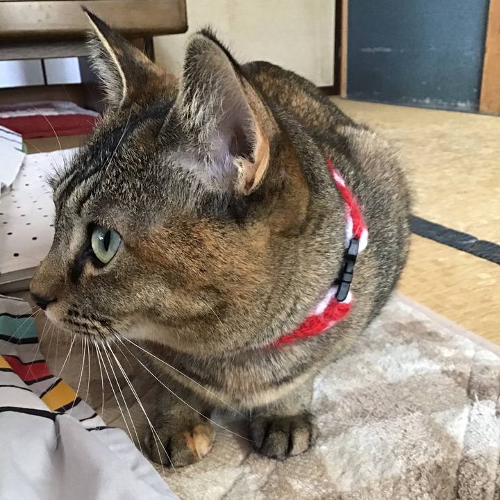 799c9fc8 c501 4bb2 91d0 c286240377d1 1607391005750