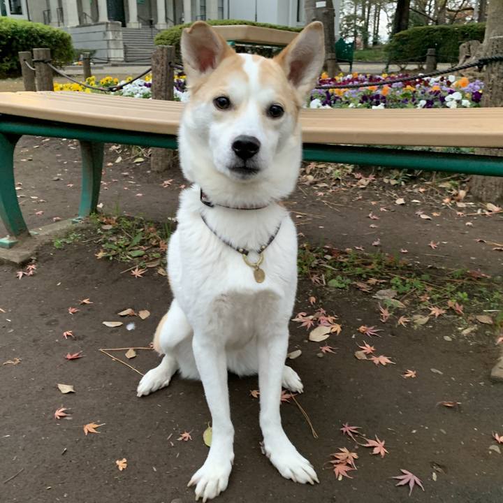 799ccc91 af3f 4090 81f7 21bddd6af9b7 1577501762404