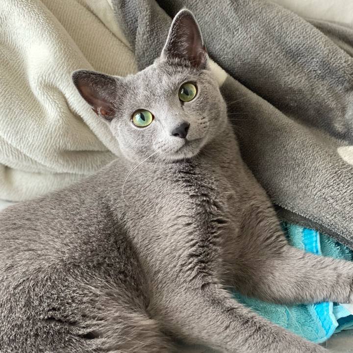 799cd03a 134a 4ad0 ad57 cb633c444ca5 1626310625322