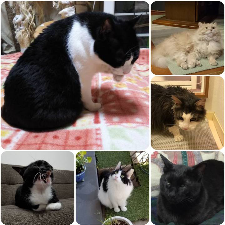 799ce77d 8d0f 4321 ba68 00500ae3b750 1557352718685