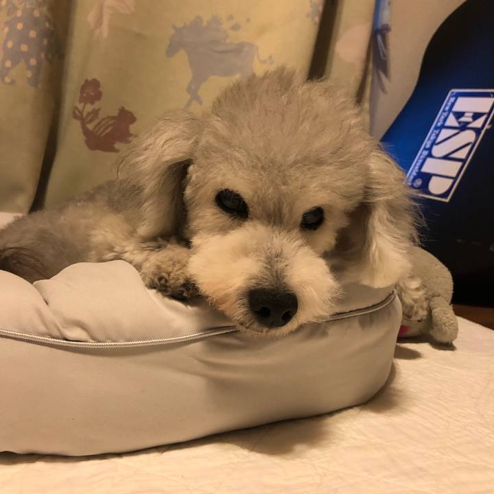 799d1bf7 8059 4437 b6c8 7d2d090173c7 1627428508068