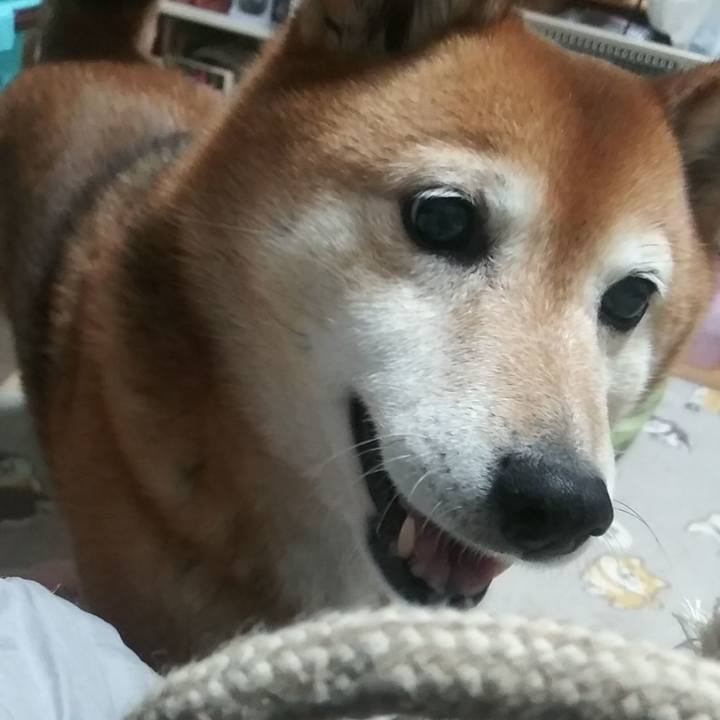 799da389 953a 4991 b868 600e1f54345a 1618476263032