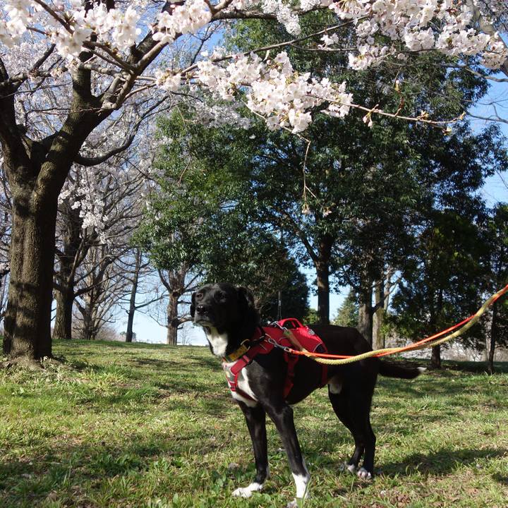 799db75f c640 42dd 89ac 1d14ca12bfe4 1585011201201