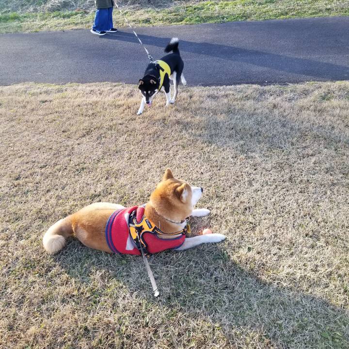 799dbf93 8fee 41ed b9de b35b96ab2b5e 1607492695278