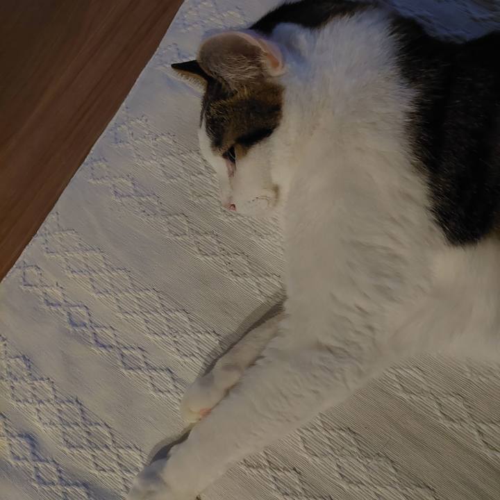 799dcb11 392c 4812 b4b1 605e39fc4d18 1634502477807