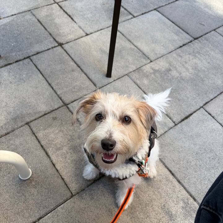 799ddbc9 0fd5 47b8 9886 d0792f5c57ca 1767072960770