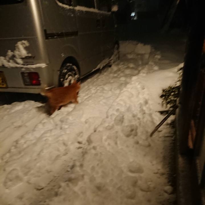 799dff0f 87fc 420a bc40 23b29d9f4d31 1608023679898