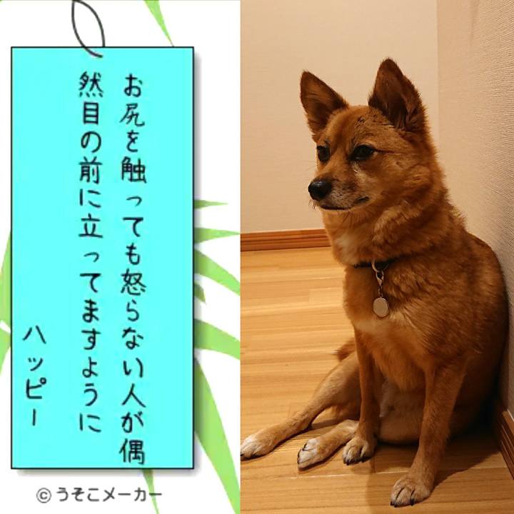 799e004e 5eef 4f84 884f 8ac204507cd2 1562502556511