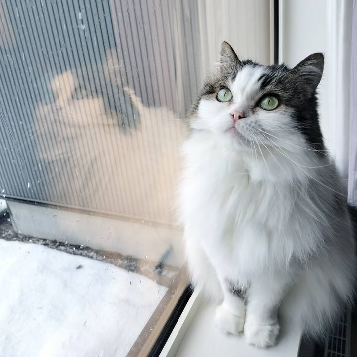 799eb044 f603 46d2 8ee1 eae2b7057d7c 1773717826791