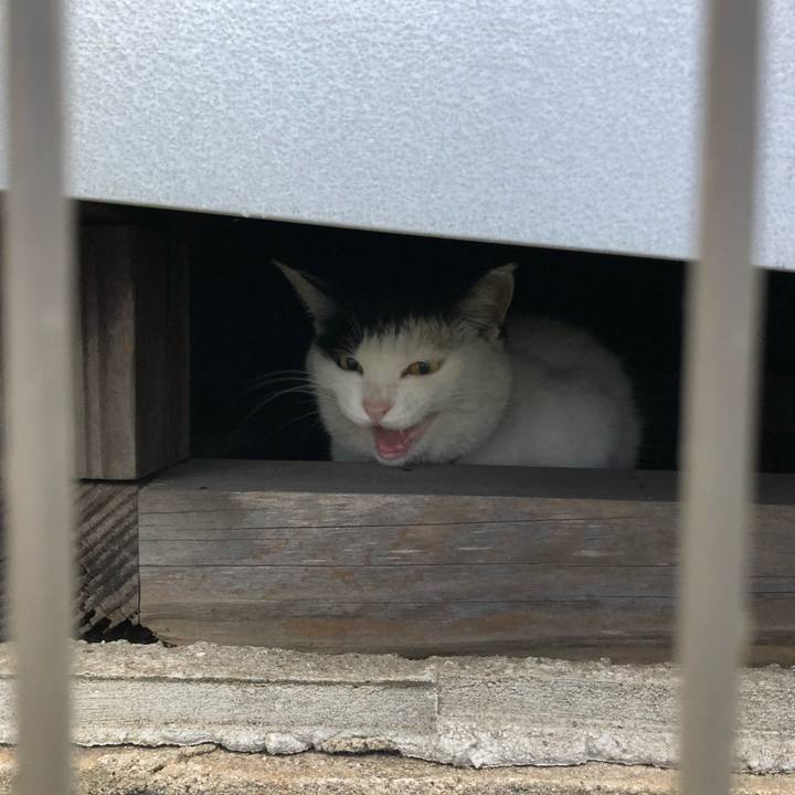 799f20a6 088d 44b0 9ae2 aed839ac9d22 1616191825064