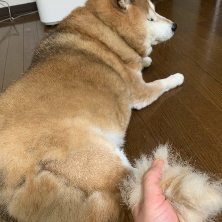 799f5323 e363 4aa5 b635 003d1febd97a 1580032258460