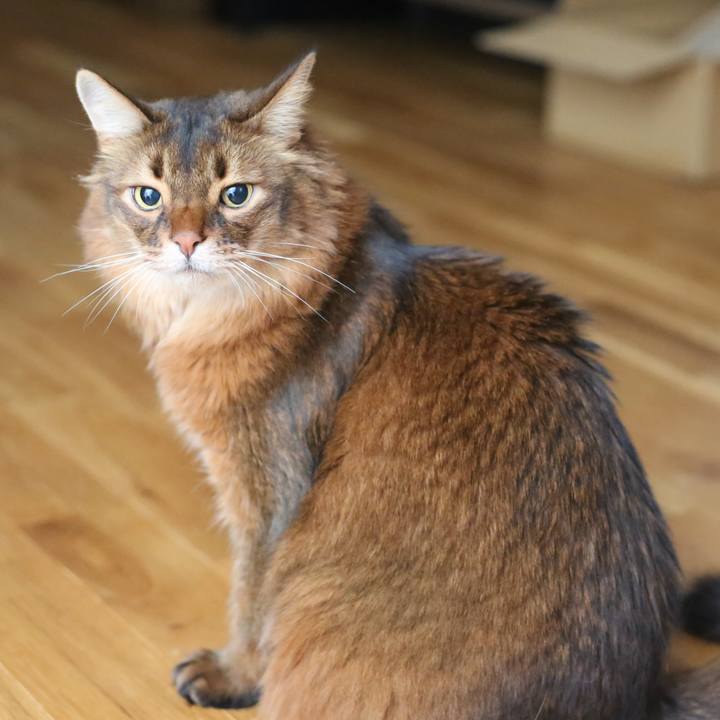 799f55cd e542 4e4b 8c7d 3dddd5e2c976 1670334476535